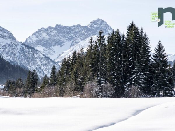 Natur bewußt erleben