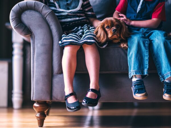 Die cleveren Seiten 2025